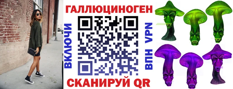 продажа наркотиков  Кудрово  Галлюциногенные грибы Psilocybine cubensis 